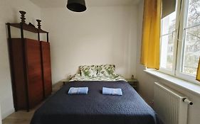 Parrot'S Apartment